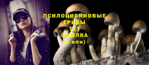амфетамин Дмитриев