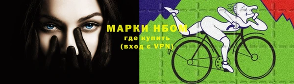 Альфа ПВП Дмитров