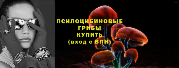 Альфа ПВП Дмитров
