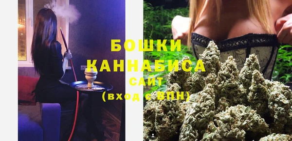 Альфа ПВП Дмитров